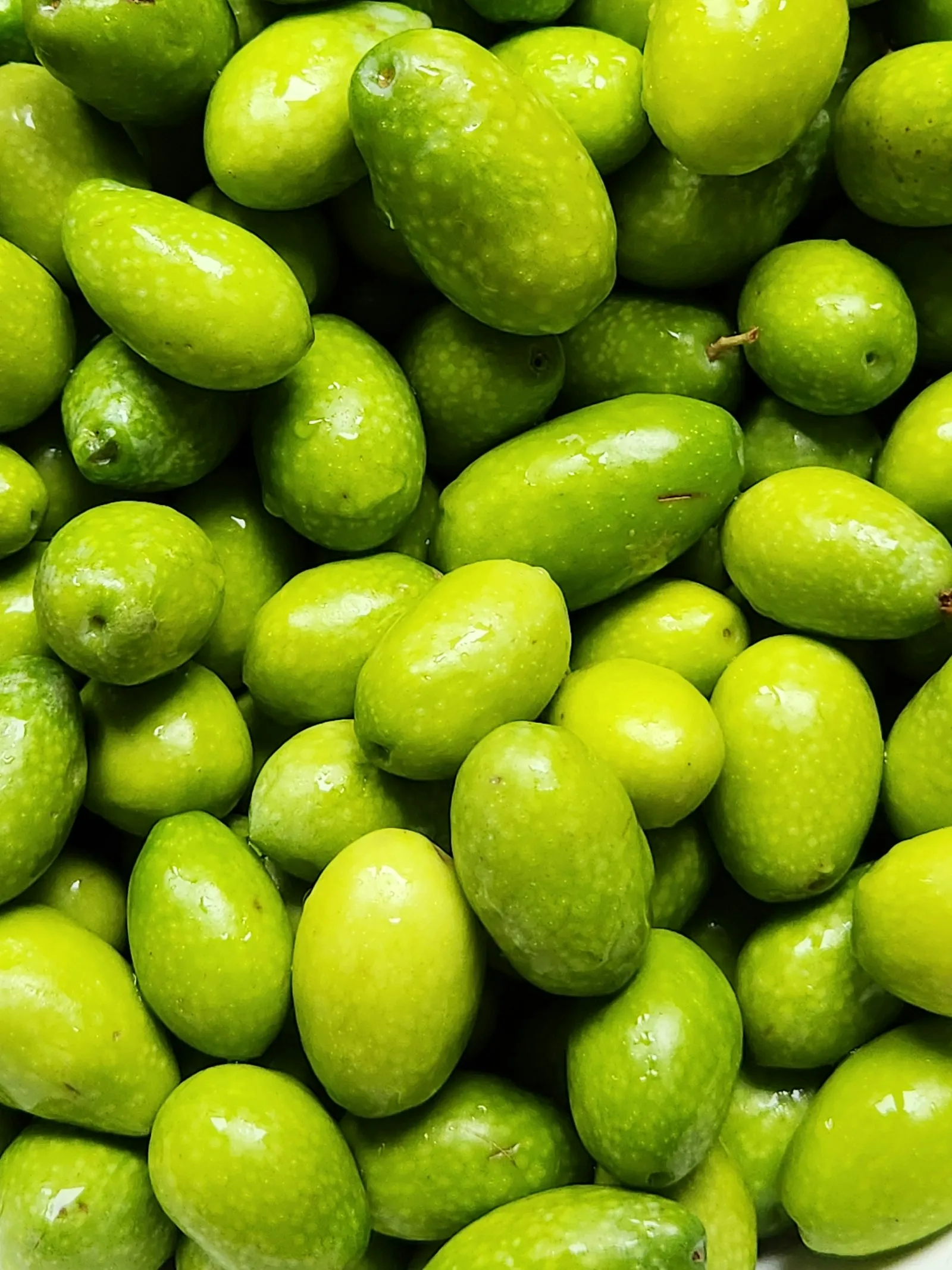 Olivo